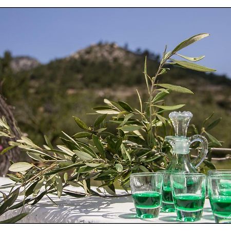 Villa Liodentro House Karpathos Esterno foto