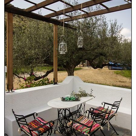 Villa Liodentro House Karpathos Esterno foto