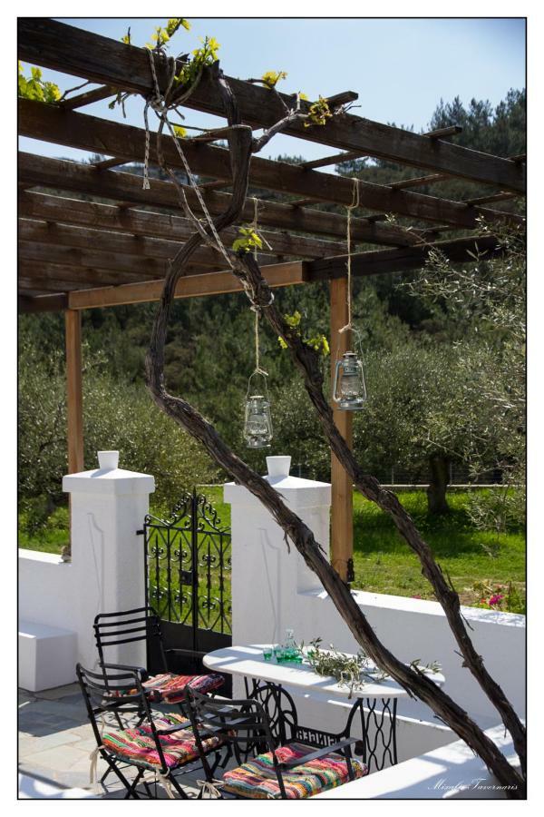 Villa Liodentro House Karpathos Esterno foto
