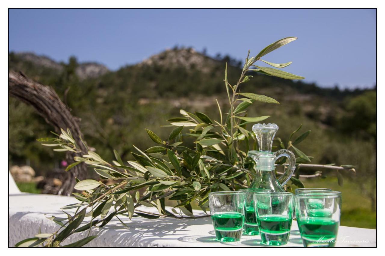 Villa Liodentro House Karpathos Esterno foto