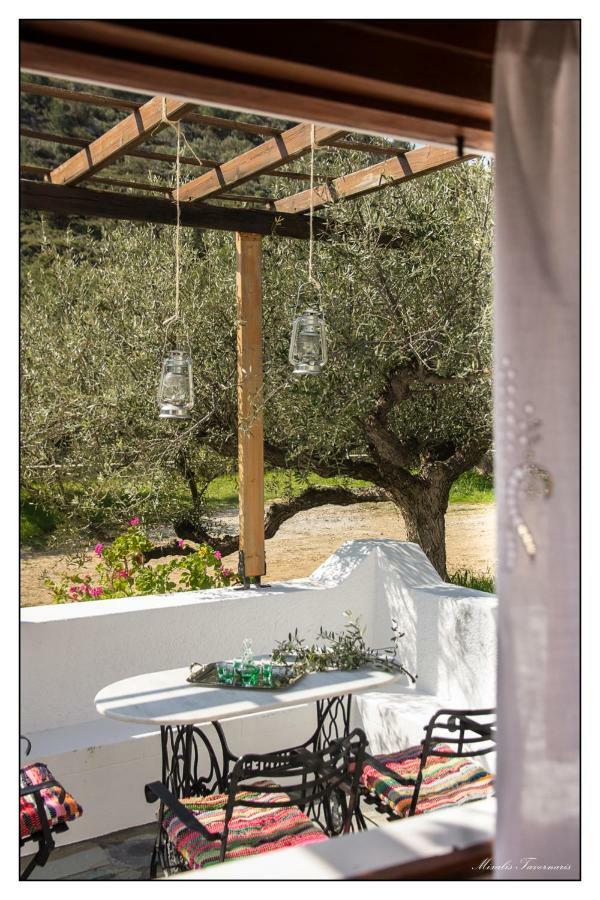 Villa Liodentro House Karpathos Esterno foto