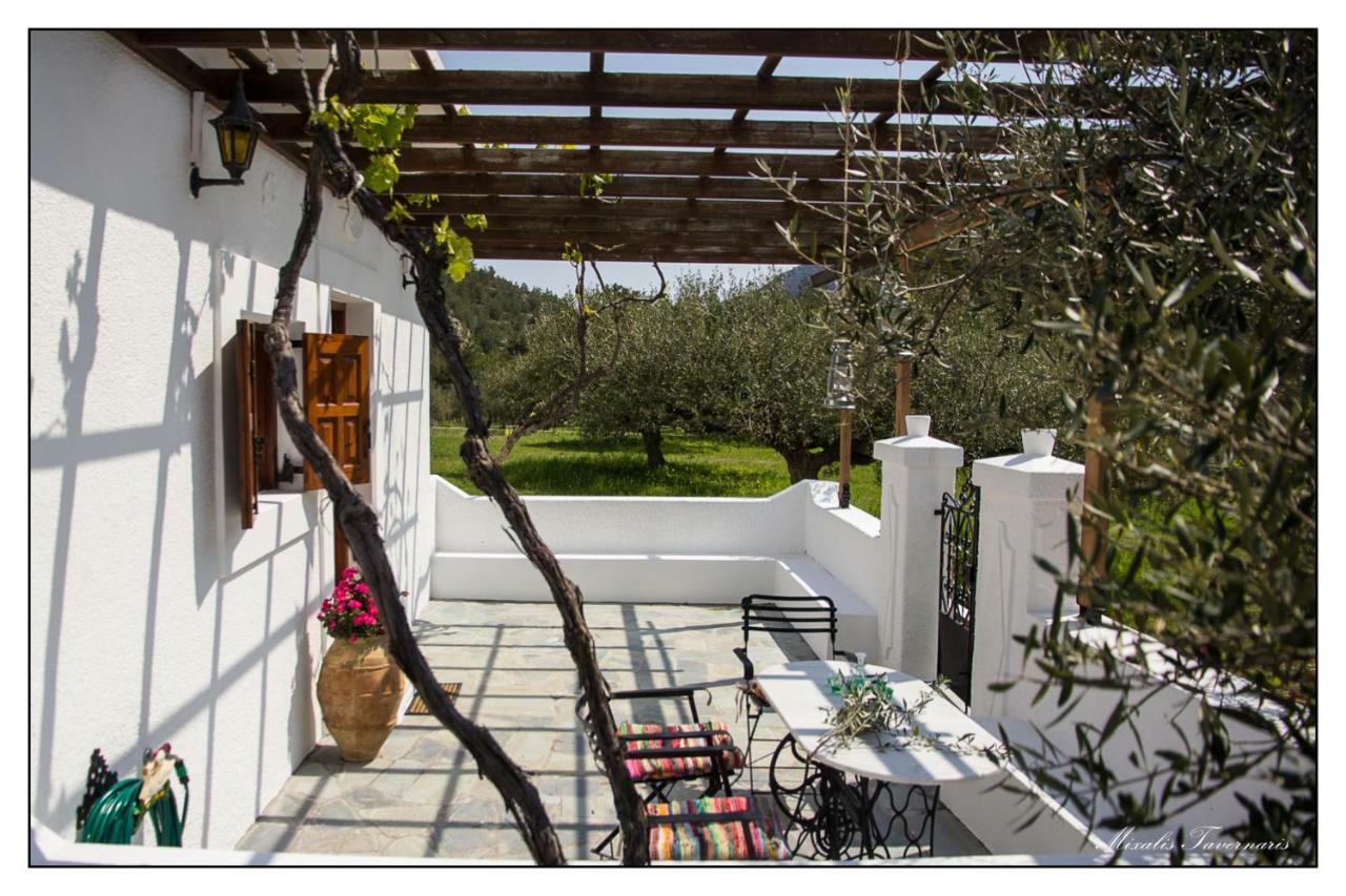 Villa Liodentro House Karpathos Esterno foto