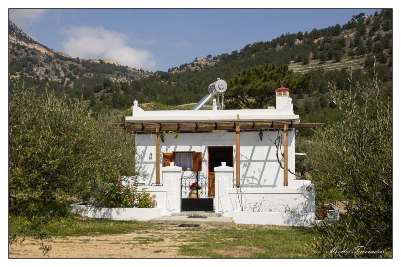 Villa Liodentro House Karpathos Esterno foto